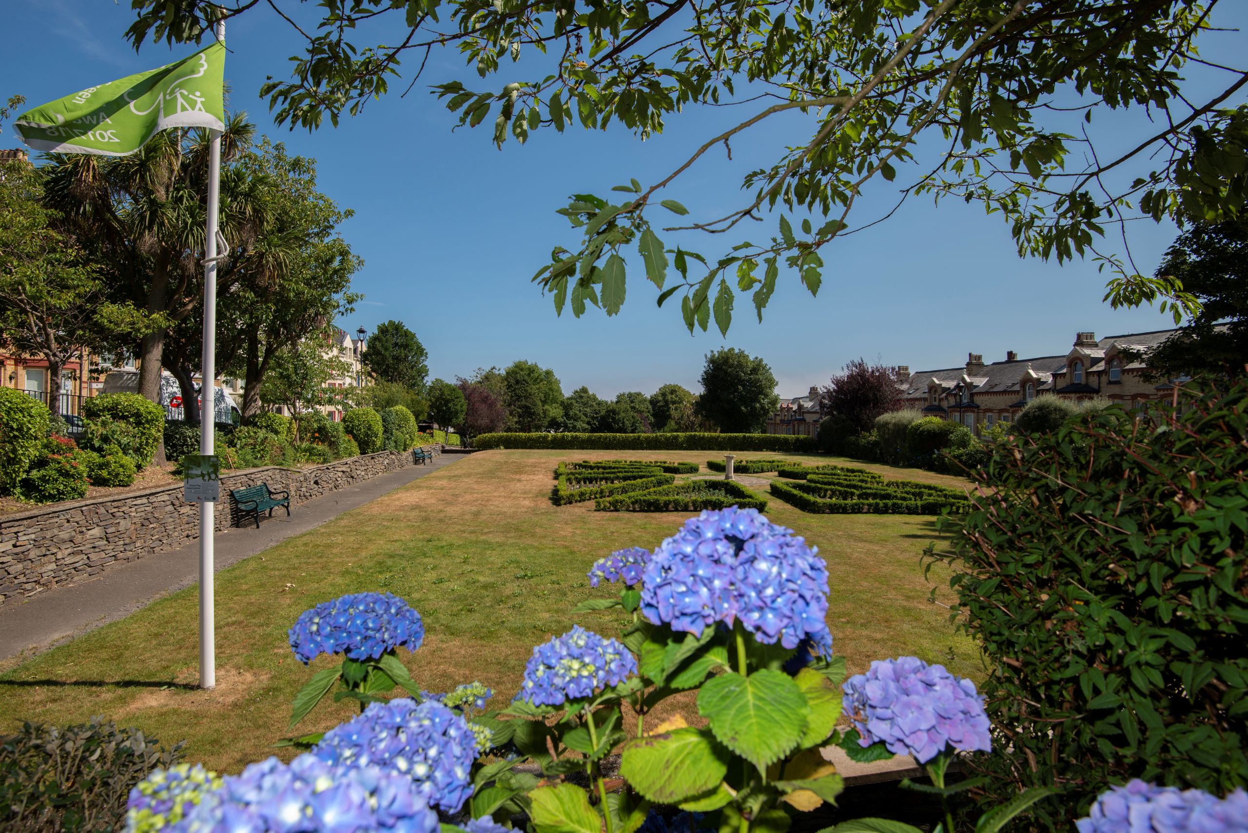 Hutchinson Square in full bloom