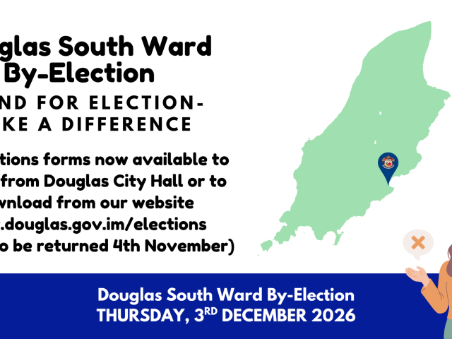 make a difference - STAND FOR ELECTION (864 x 432 mm)